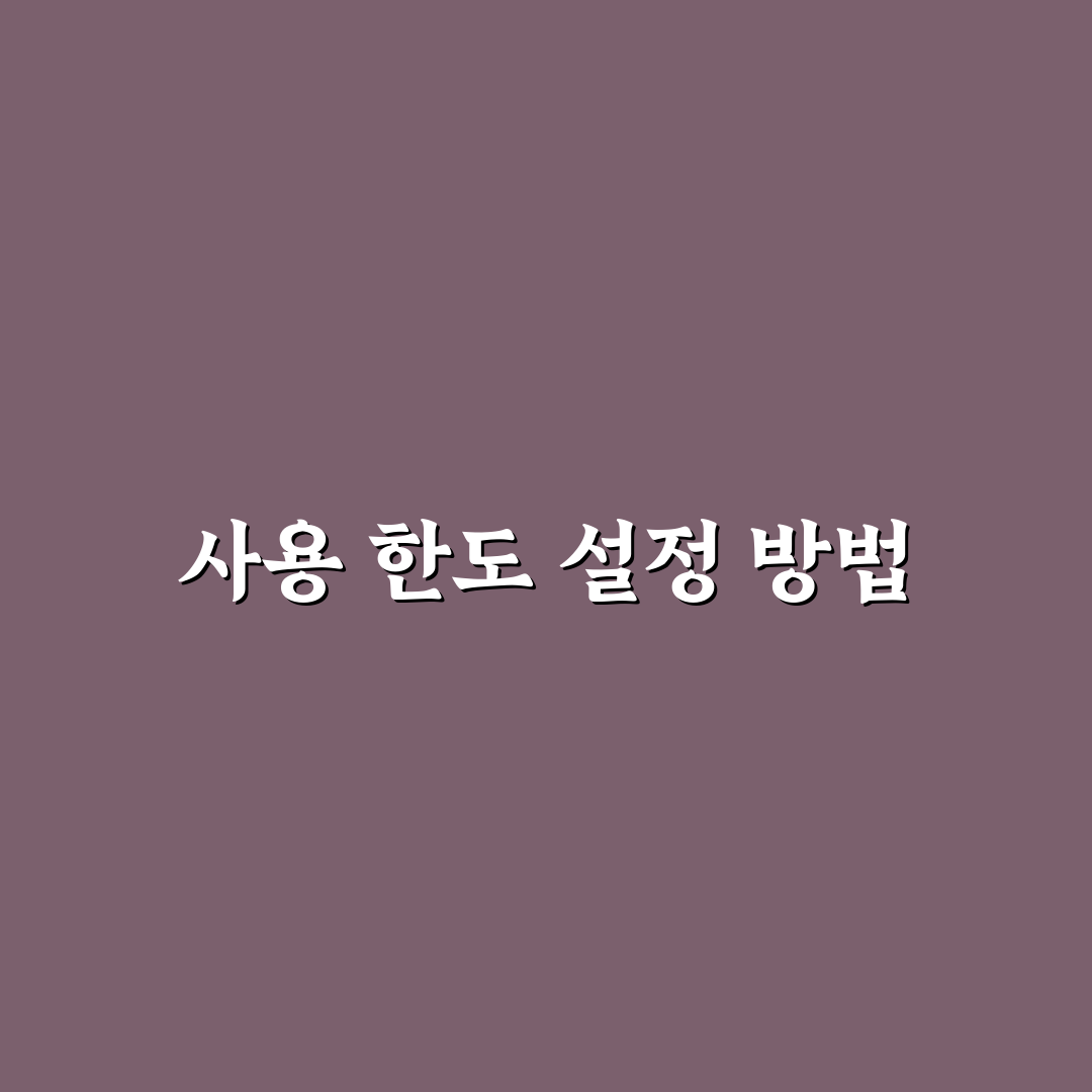 카드 사용 한도를 스스로 정하는 5가지 체크포인트