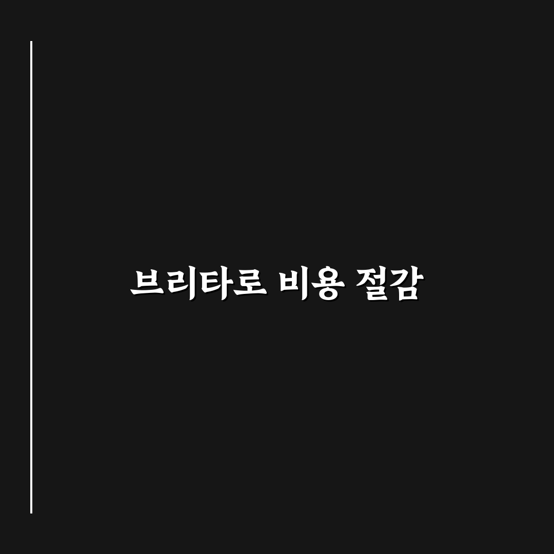 브리타 정수기로 고정비 줄이는 법: 5가지 체크포인트 분석