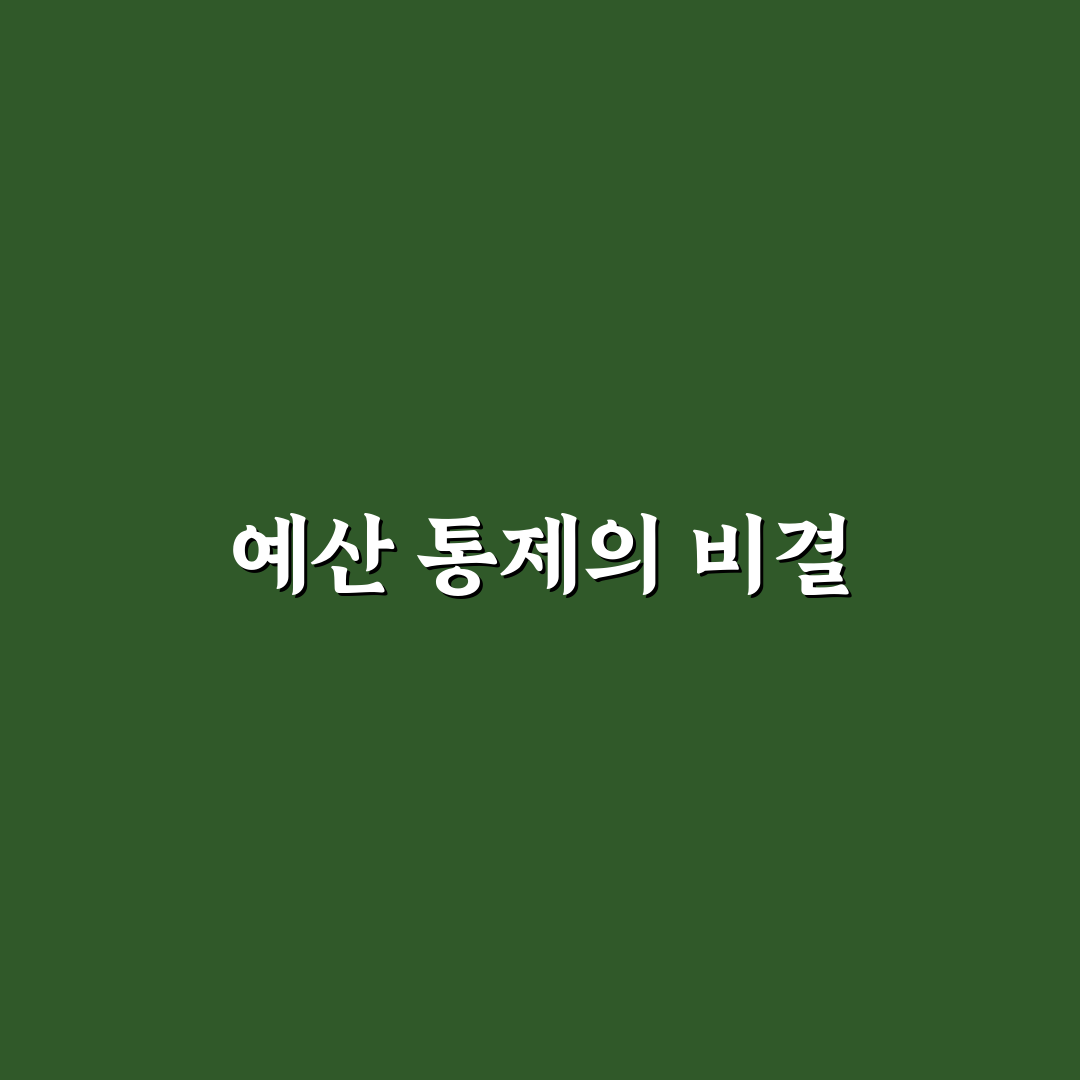 체크카드 위주 소비가 예산 통제에 좋은 이유와 5가지 체크포인트