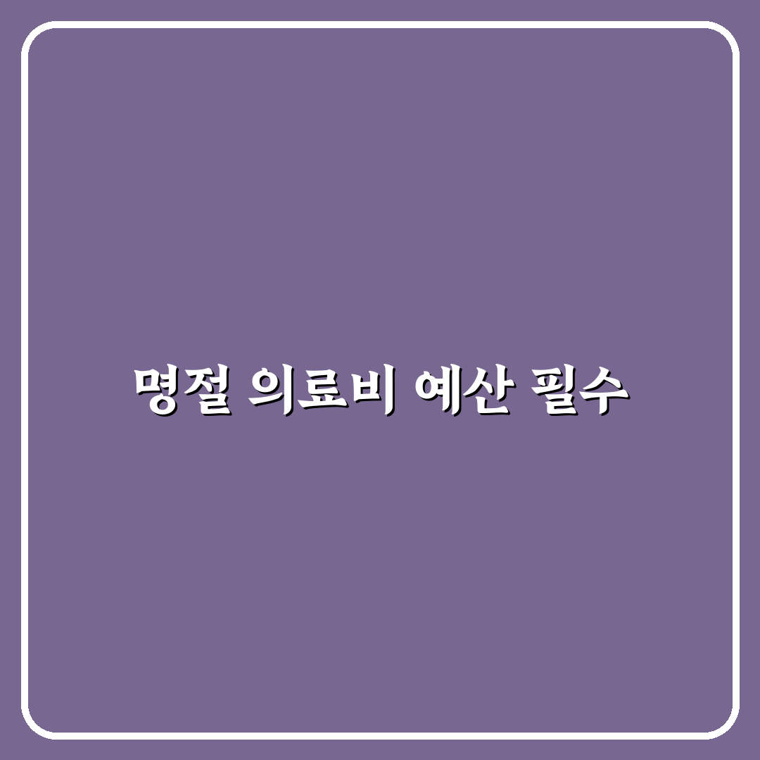 명절 경조사 의료비 대비 예산 잡는 방법: 5가지 체크포인트 분석
