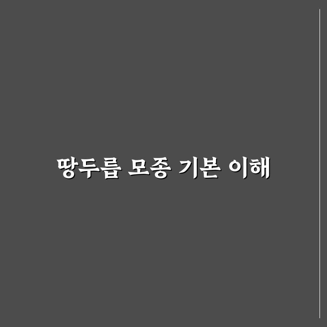 땅두릅 모종구입 방법과 초보 꿀팁 알려드려요