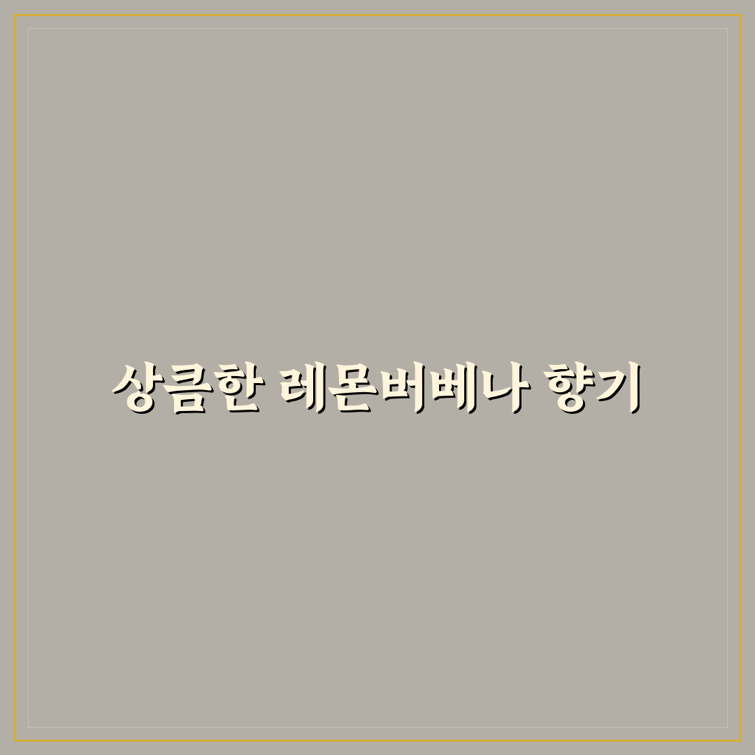 스킨푸드 레몬버베나 추천 사용법과 꿀팁 알려드려요