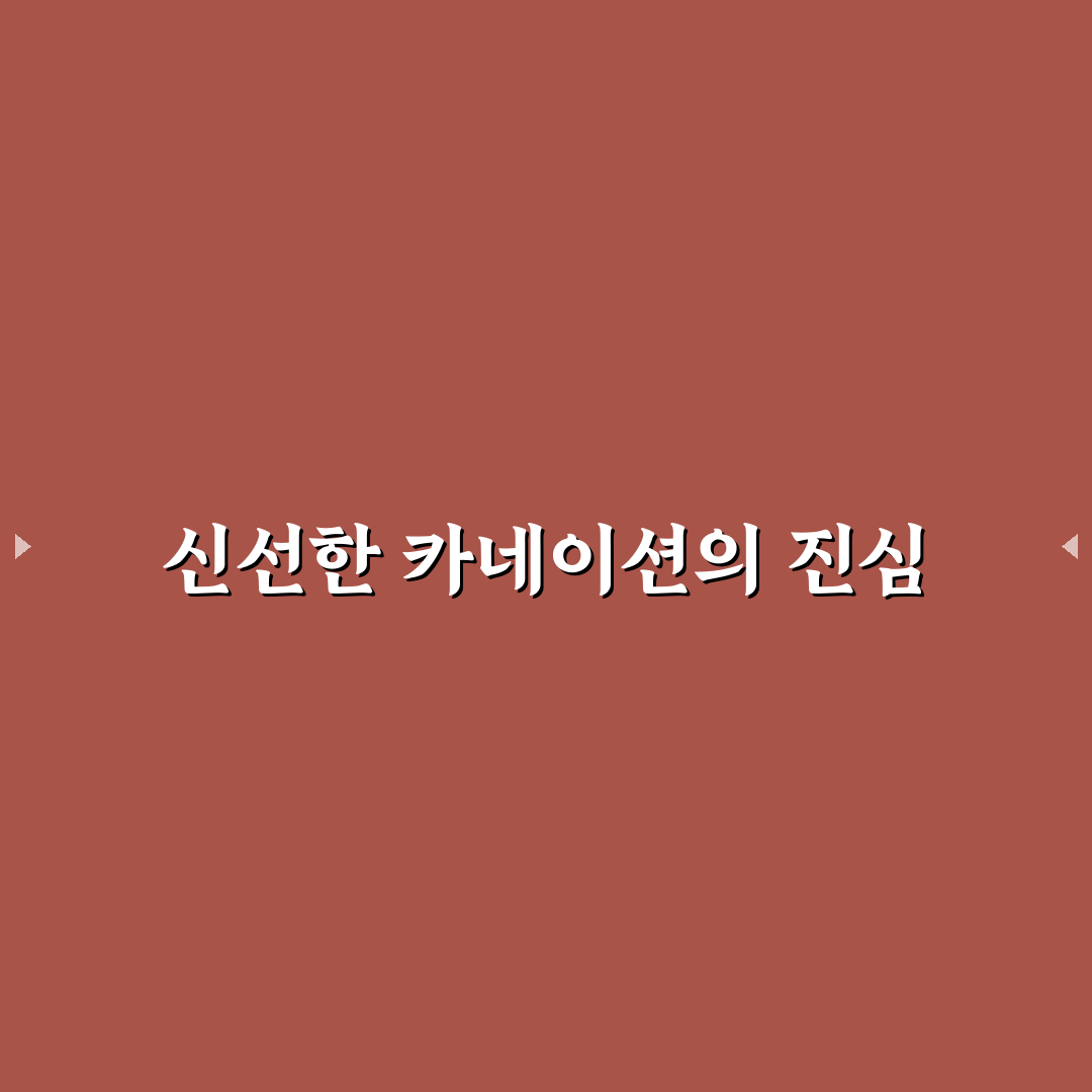 양재꽃시장 카네이션 구매 꿀팁과 인기 상품 정리