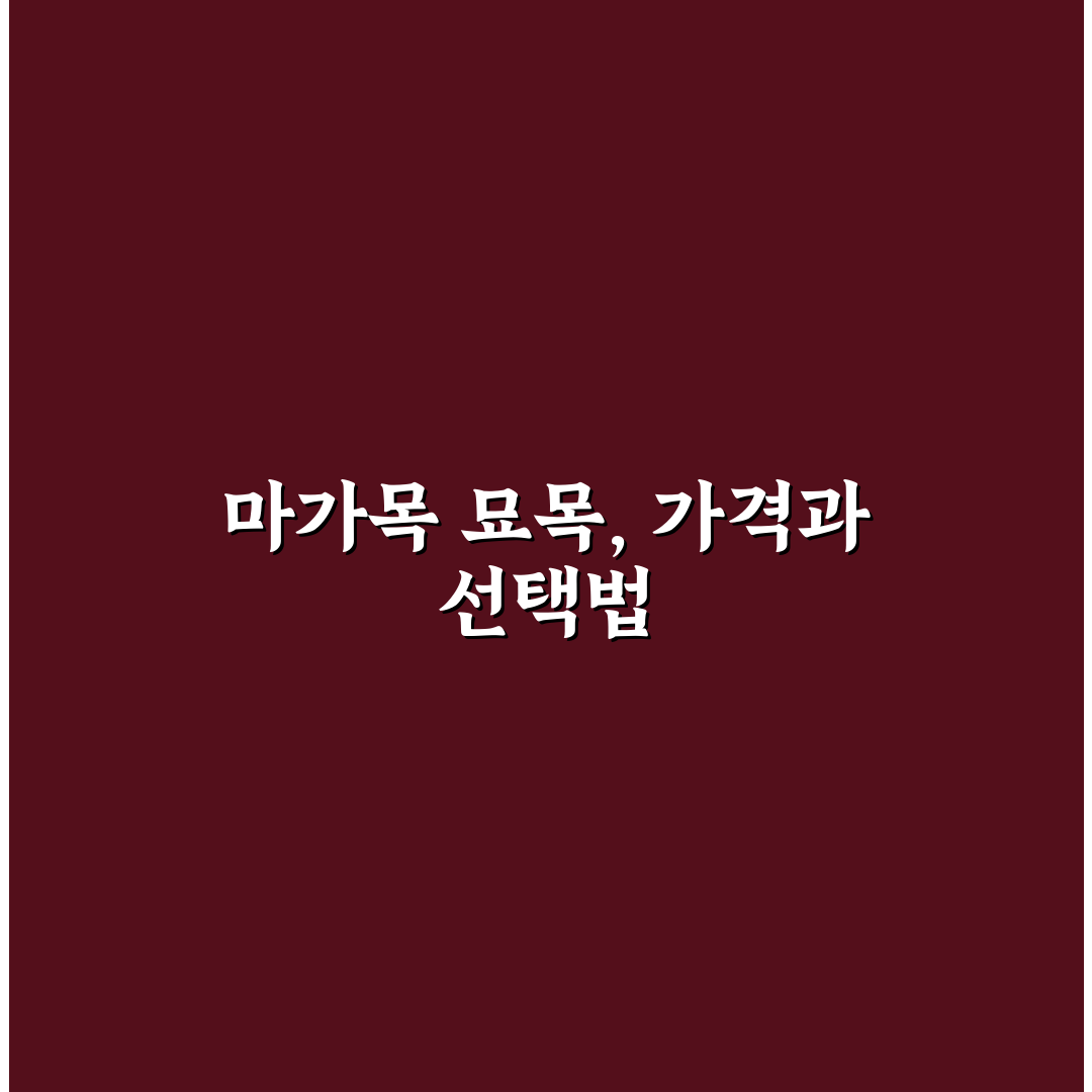 마가목 묘목 가격과 구매 팁 쉽게 알려드려요