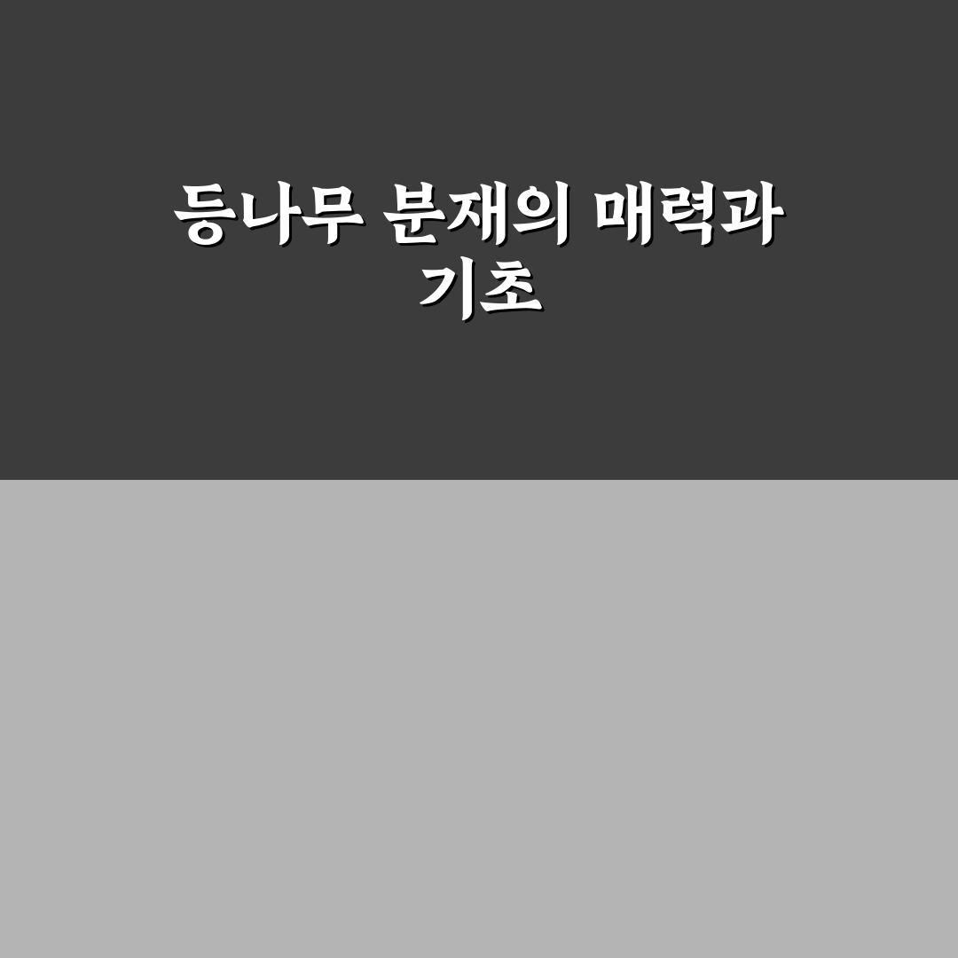 등나무 분재 만들기 방법과 초보자 꿀팁 공유