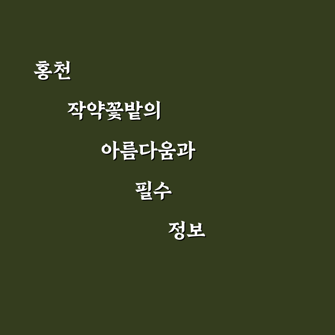 홍천 작약꽃밭 방문 전 알아두면 좋은 꿀팁 정리