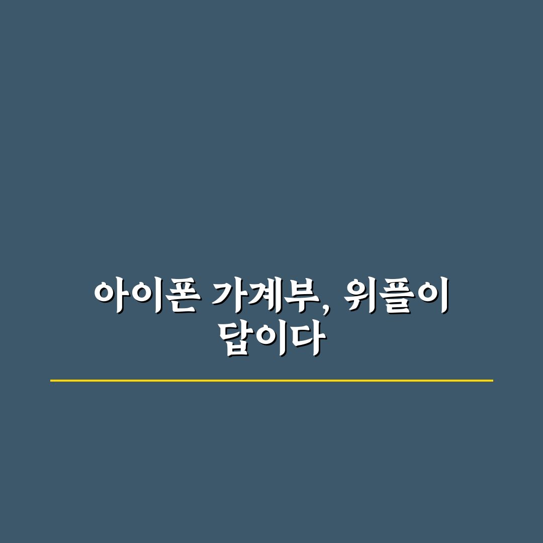 위플 가계부 추천 아이폰 유저에게 잘 맞는 이유와 꿀팁 정리
