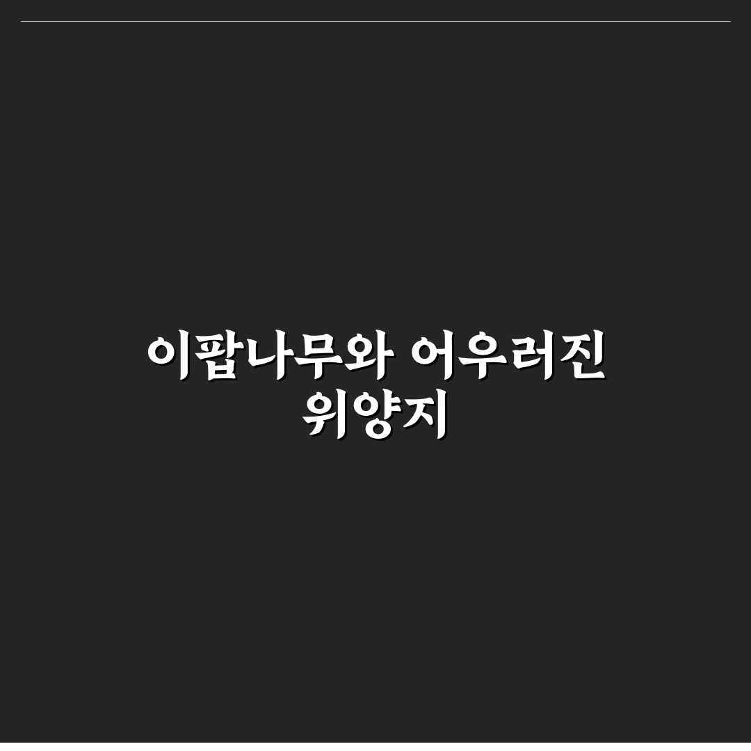위양지 이팝나무 방문 꿀팁과 주변 정보 정리