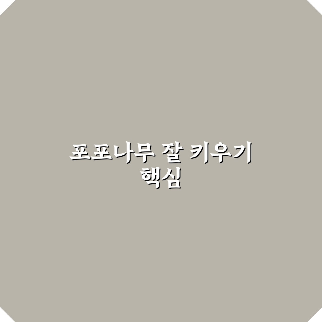 포포나무키우기 초보자를 위한 꿀팁과 관리 방법