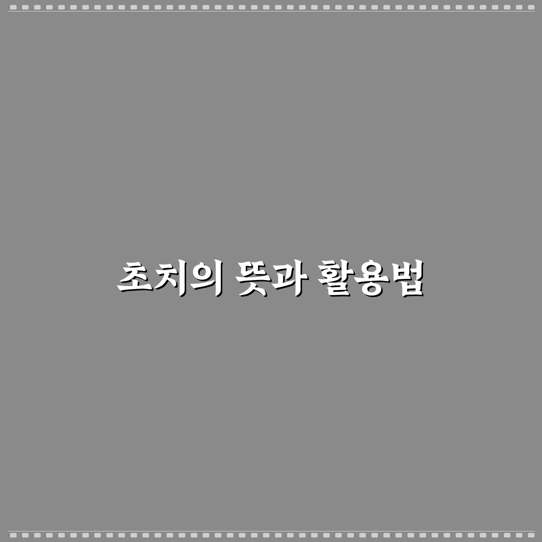 초치 뜻과 사용법 쉽게 알려드려요 초치 뜻 이해를 돕는 간단 정리