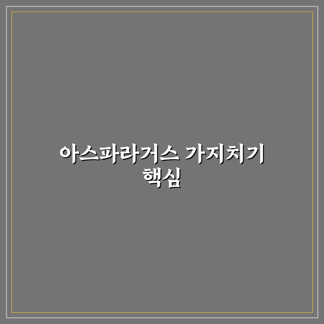 아스파라거스 나누스 가지치기 방법과 꿀팁 알려드려요