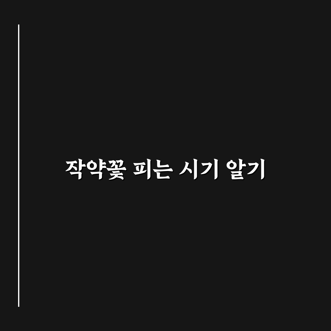 작약꽃 시기와 관리법 꿀팁 쉽게 알려드려요