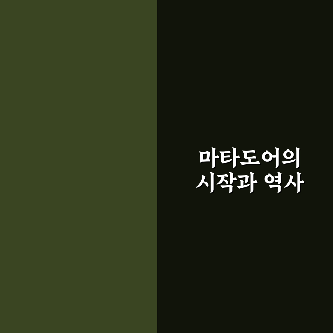 마타도어 유래와 의미 쉽게 알려드려요