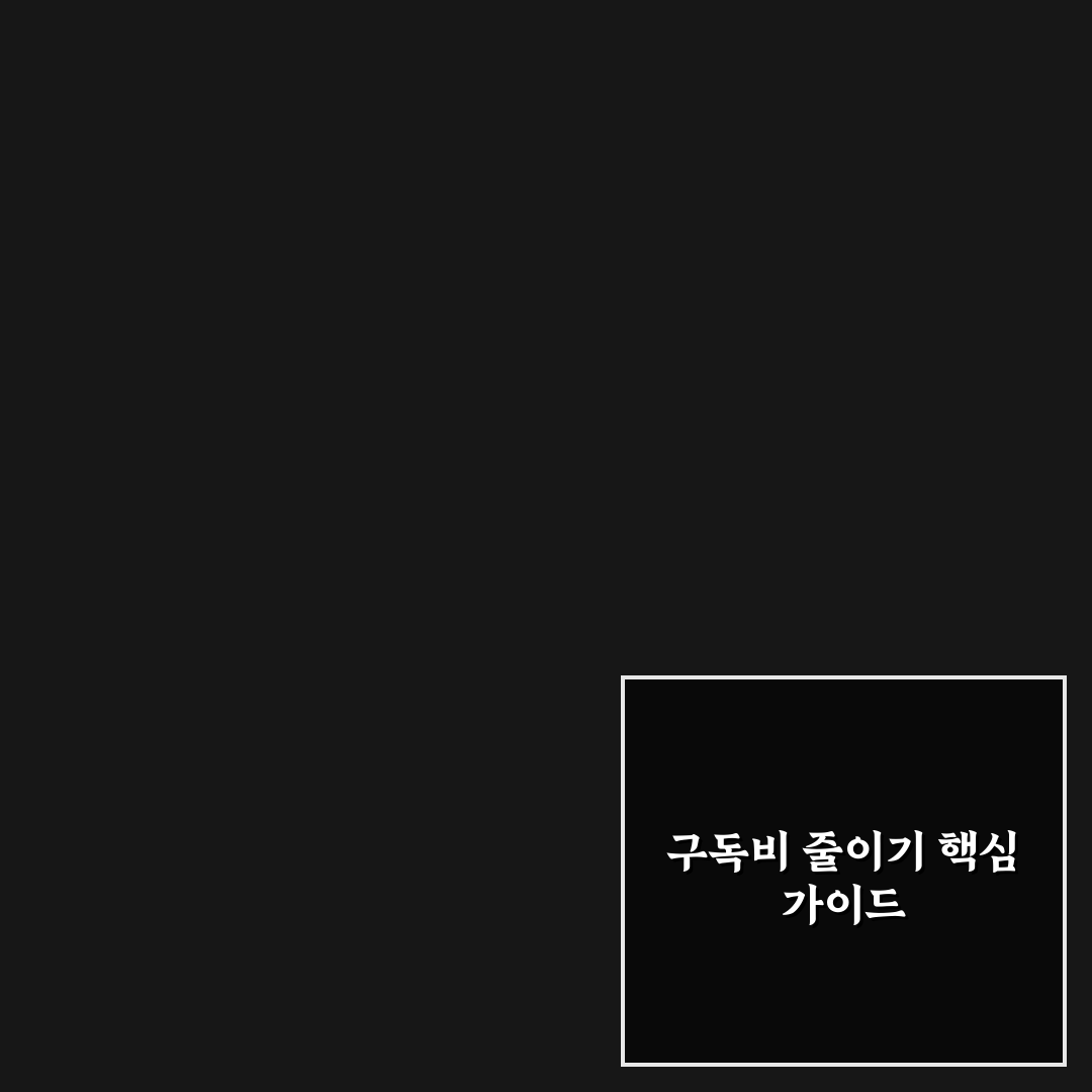 구독비 줄이기 전에 꼭 점검해야 할 것 추천 꿀팁