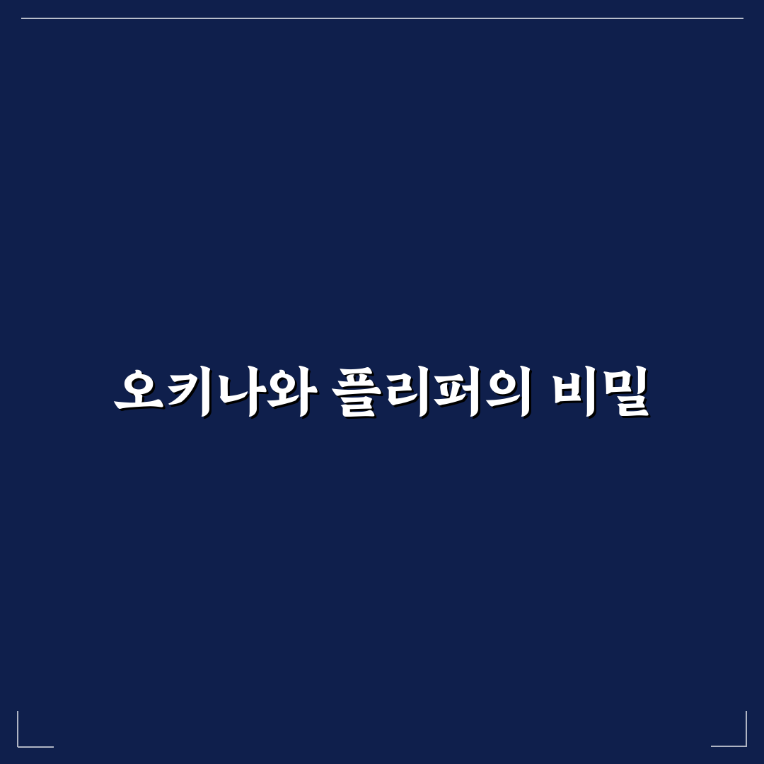 오키나와 플리퍼 사용법과 꿀팁 공유하기
