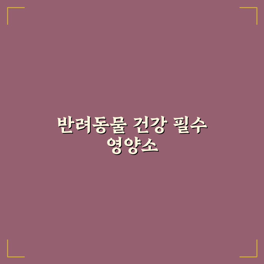 노르딕 오메가3 펫 추천과 효과 꿀팁 알려드려요