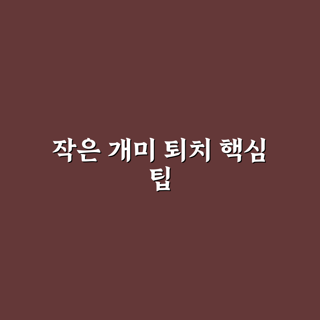 작은 개미 퇴치법 쉽고 효과적인 방법 꿀팁 공유