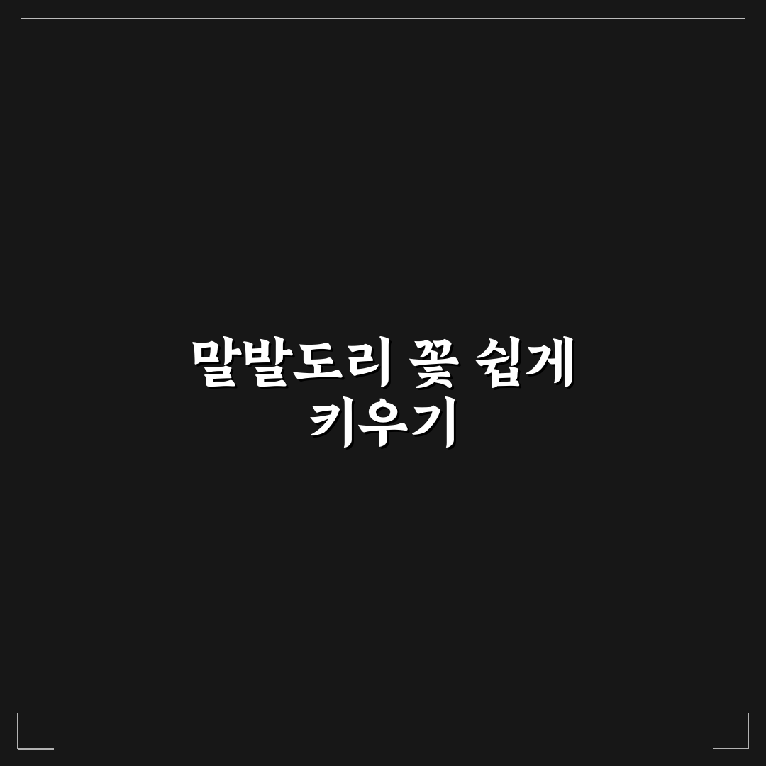 말발도리 꽃 키우는법 초보자 꿀팁 쉽게 알려드려요