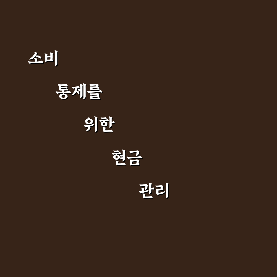 현금 예산제로 소비 통제하는 쉬운 방법: 5가지 체크포인트 총정리