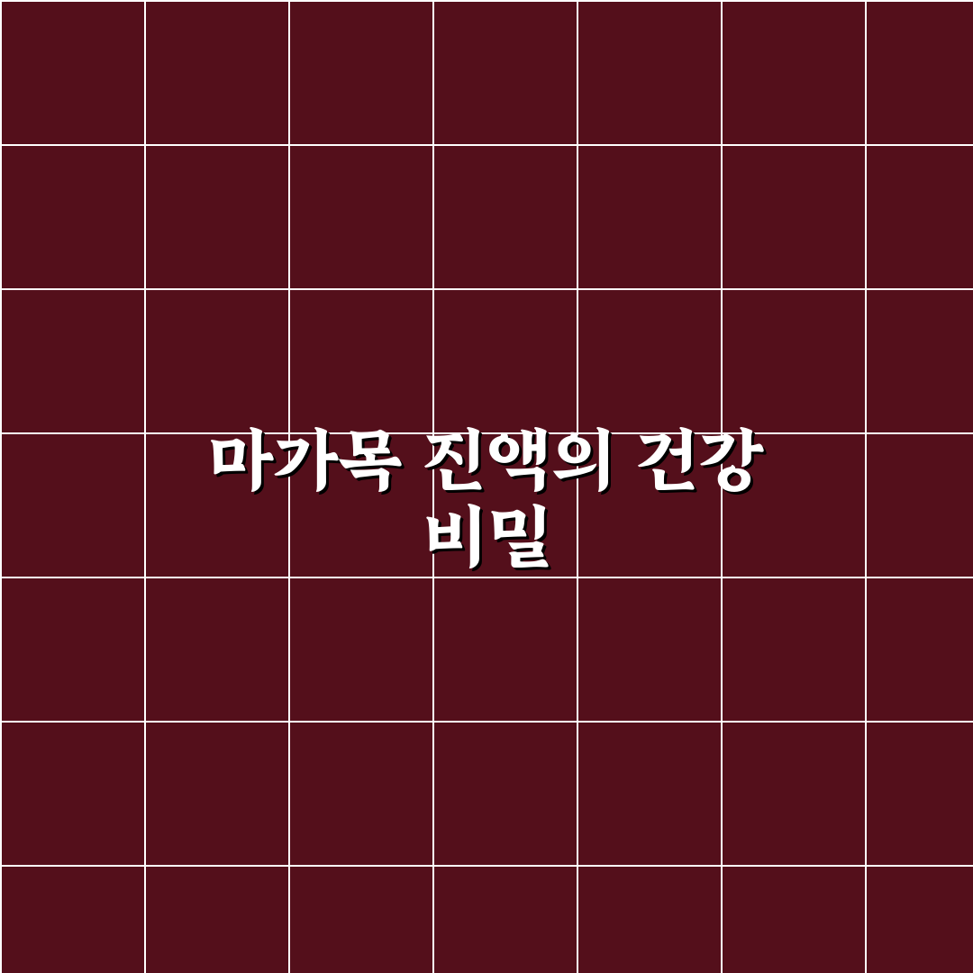 마가목 진액보감 효과와 복용법 꿀팁 알려드려요