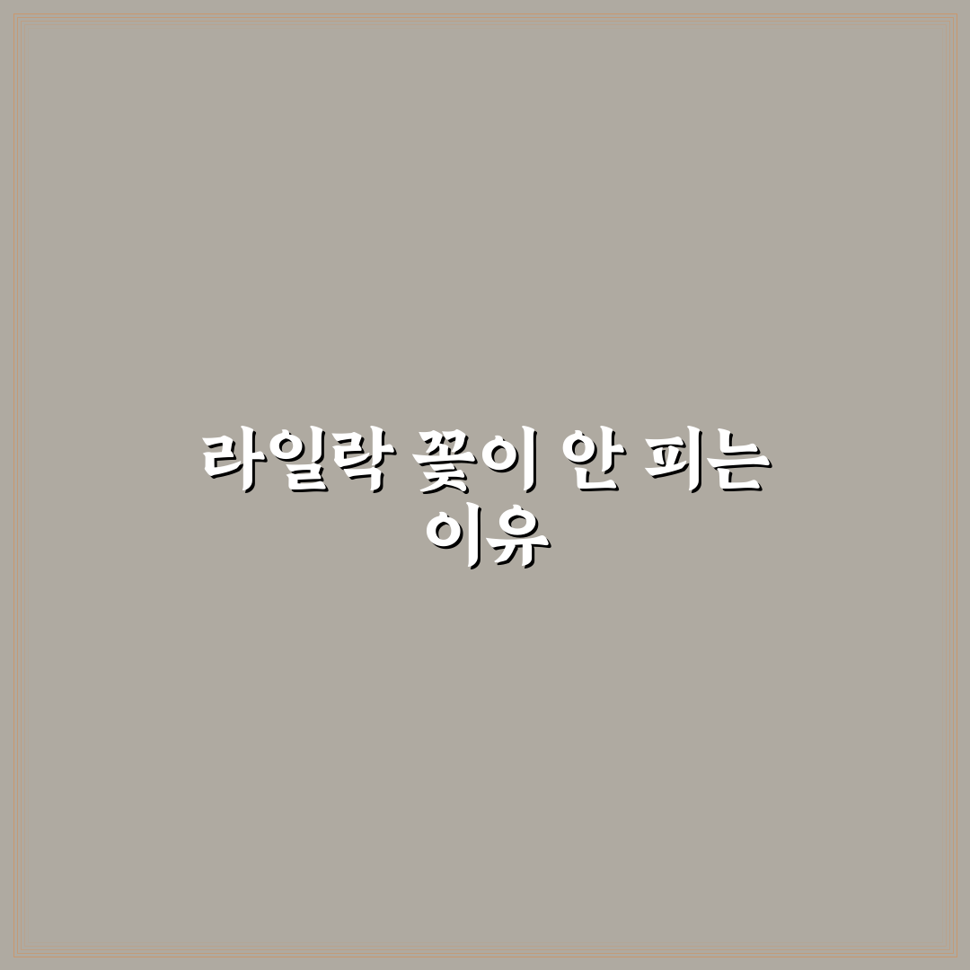 라일락 꽃이안피는이유와 해결법 꿀팁 알려드려요