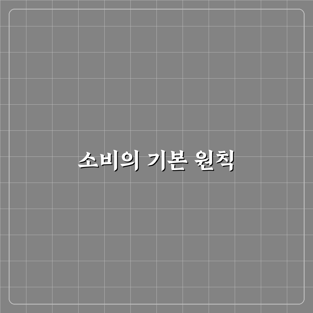 돈 모으는 사람이 꼭 지키는 소비 규칙 5가지 핵심 가이드