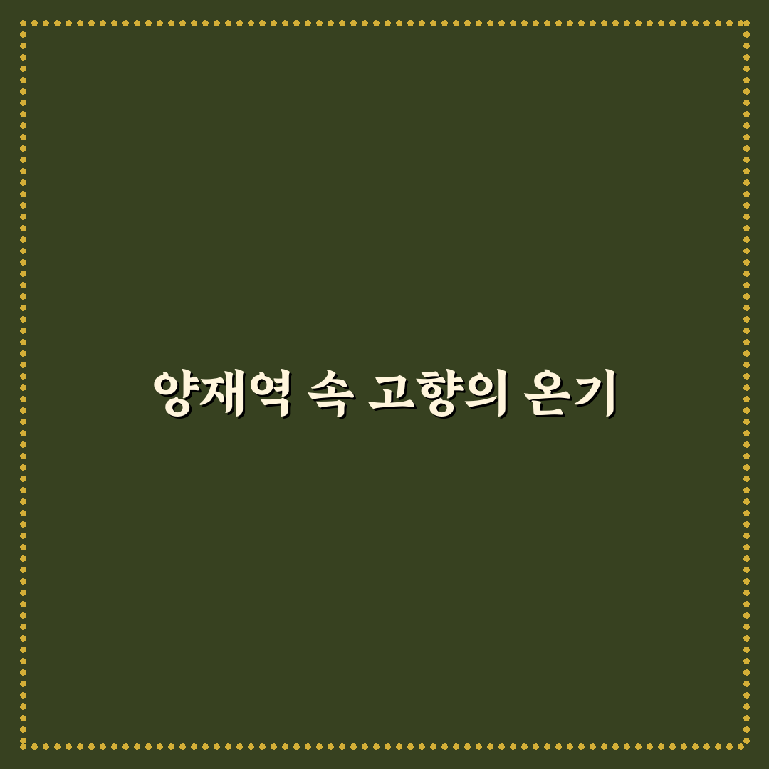 양재역 나살던고향 방문 꿀팁과 맛집 정보 공유