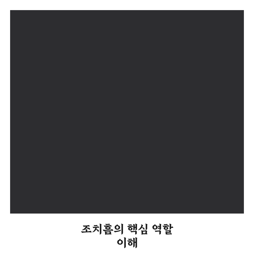 조치흠 기본 정보와 활용 팁 정리