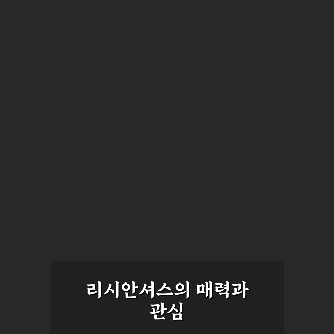 리시안셔스 고양이 특징과 성격 5가지 기준 비교 분석