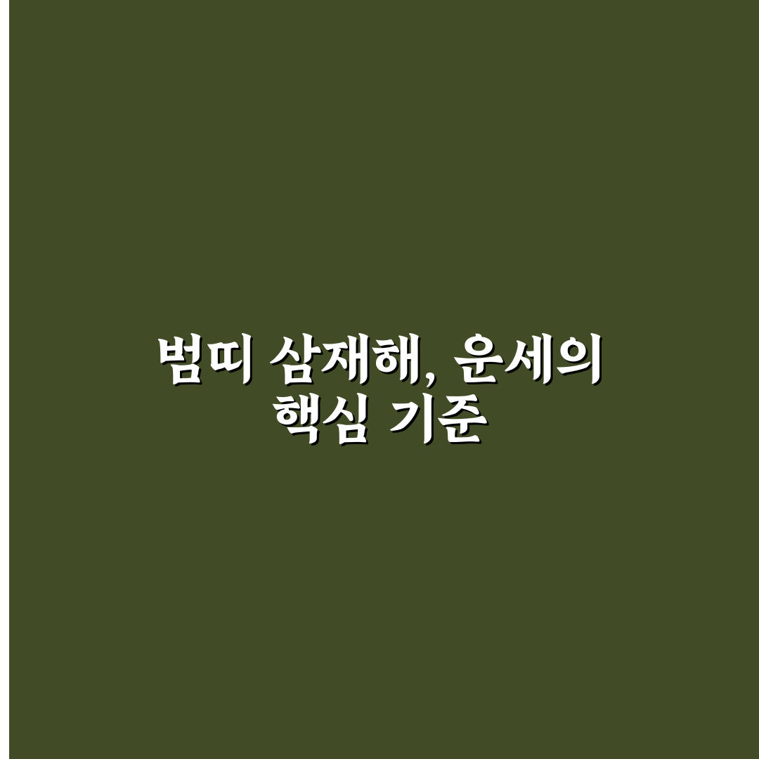 범띠 삼재해 3가지 유형별 특징과 극복 가이드