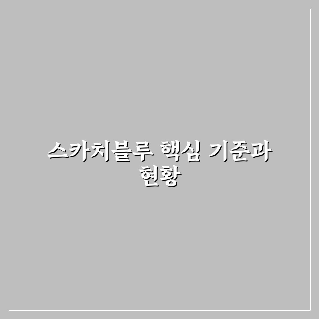 스카치블루 로우볼 비교와 선택 기준 5가지 분석