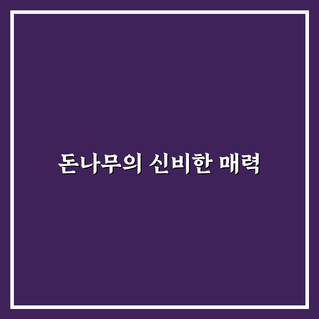 모동숲 돈나무 리얼리뷰, 최대 효과 직접 써보니