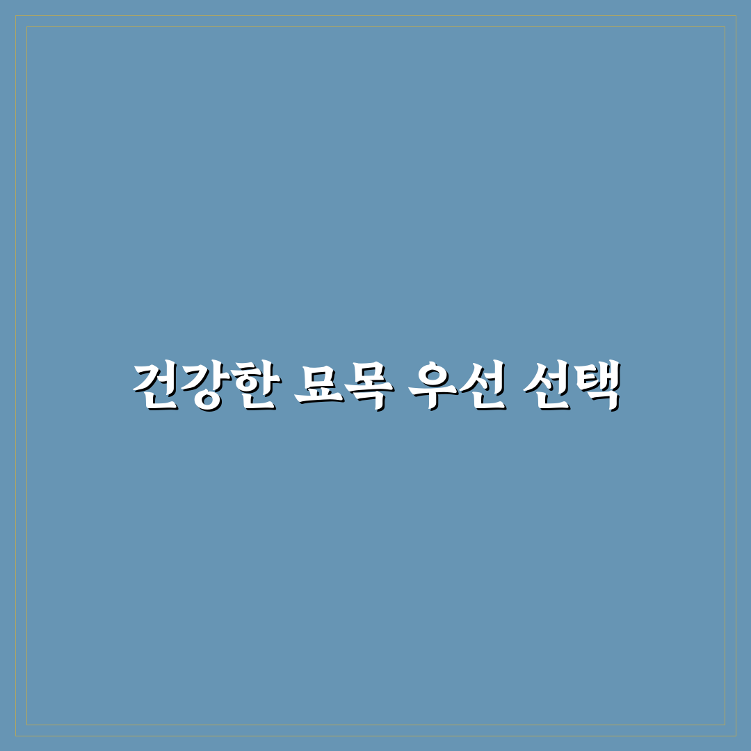 설중매 묘목 비교와 성장 가이드 5가지 체크포인트