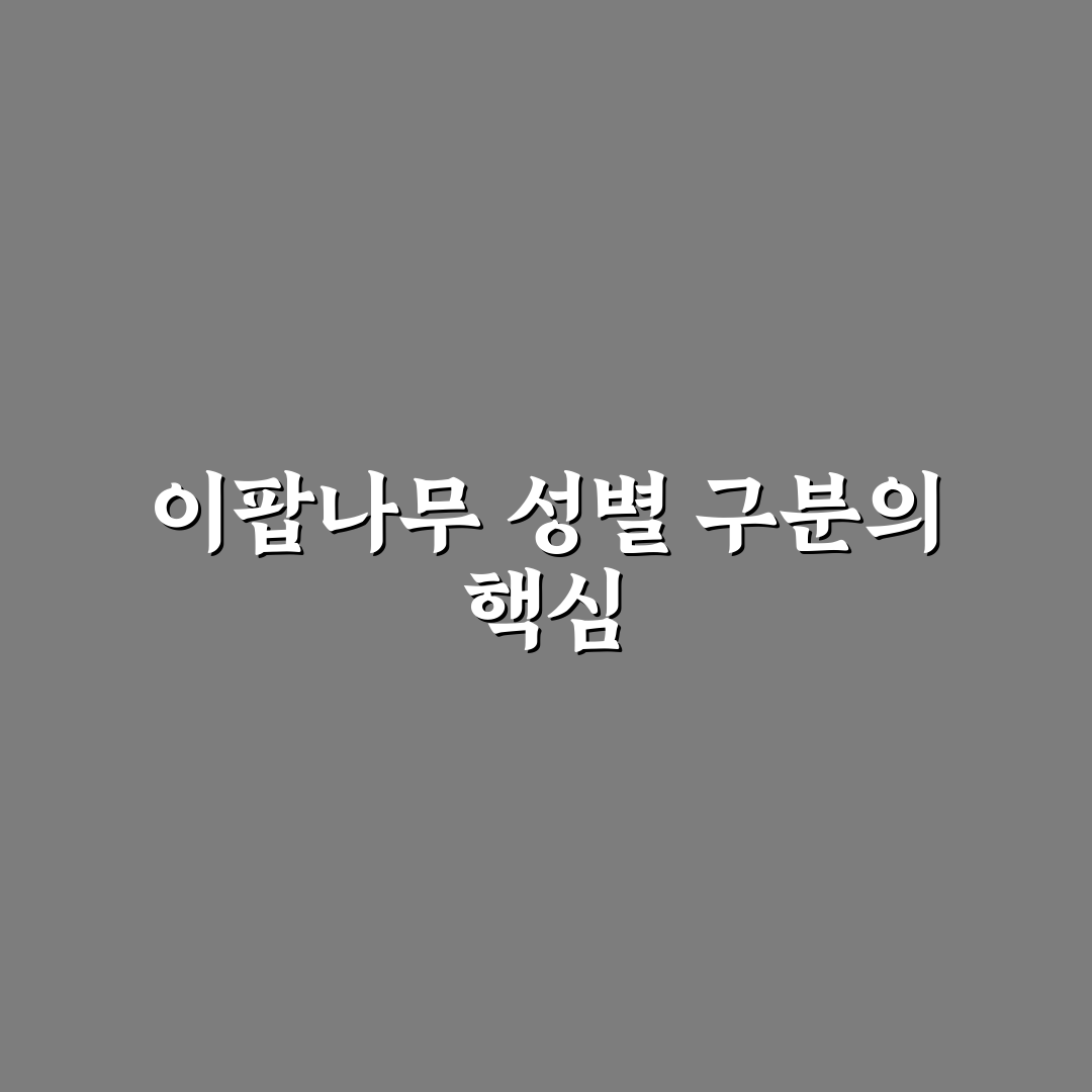 이팝나무 암수 비교와 구별 가이드 5가지 체크포인트