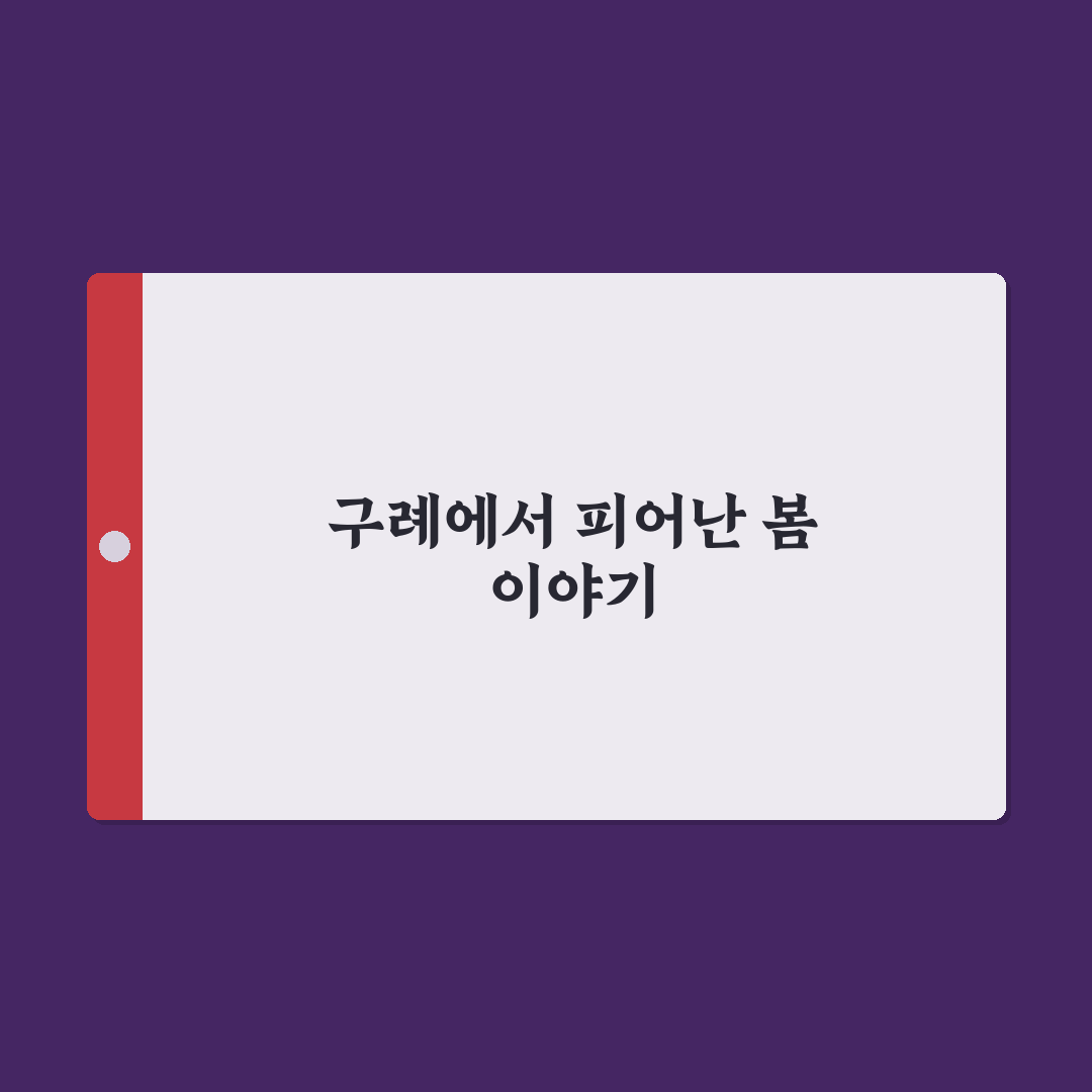 구례 치즈랜드 수선화 방문 후기, 직접 가보니 풍경과 분위기