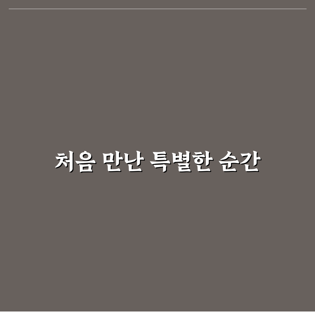 가오동 청도 횟집 방문 후기, 신선도와 분위기 솔직히 담다