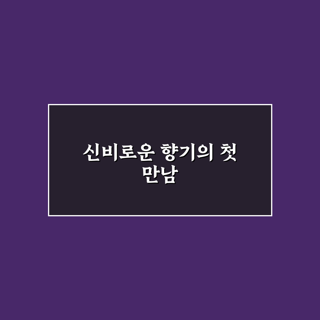 침향 염주 사용 후기, 직접 써보니 느낀 점들