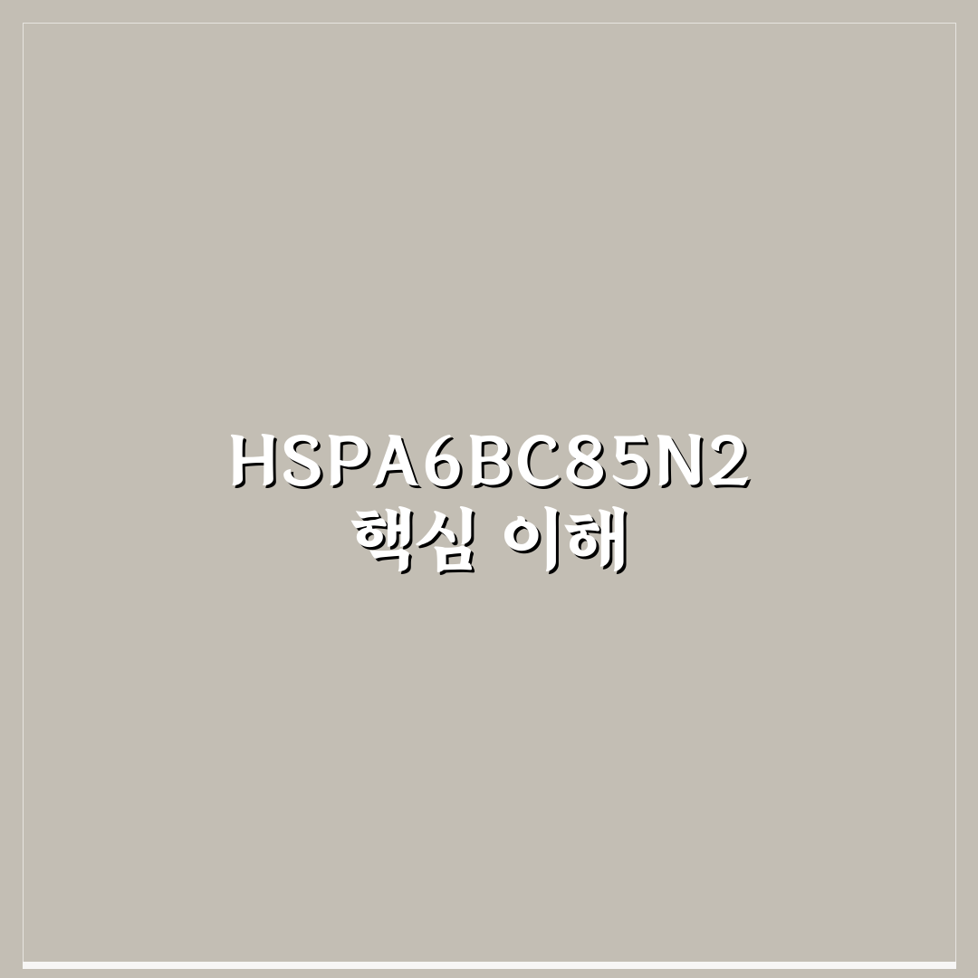 HSPA6BC85N2 사용법과 핵심 정보 정리