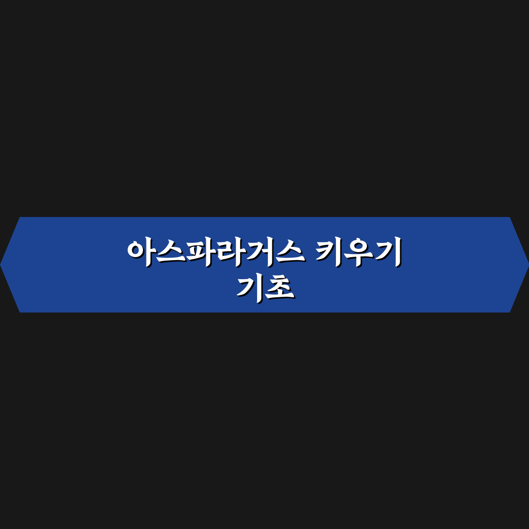 아스파라거스 나누스 키우기 방법과 꿀팁 알려드려요