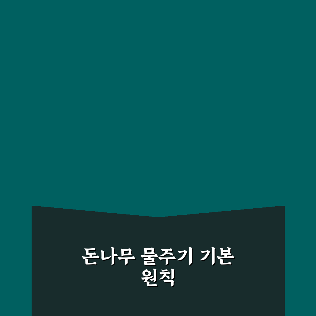 돈나무 물주기 간격 5가지 기준과 관리 가이드