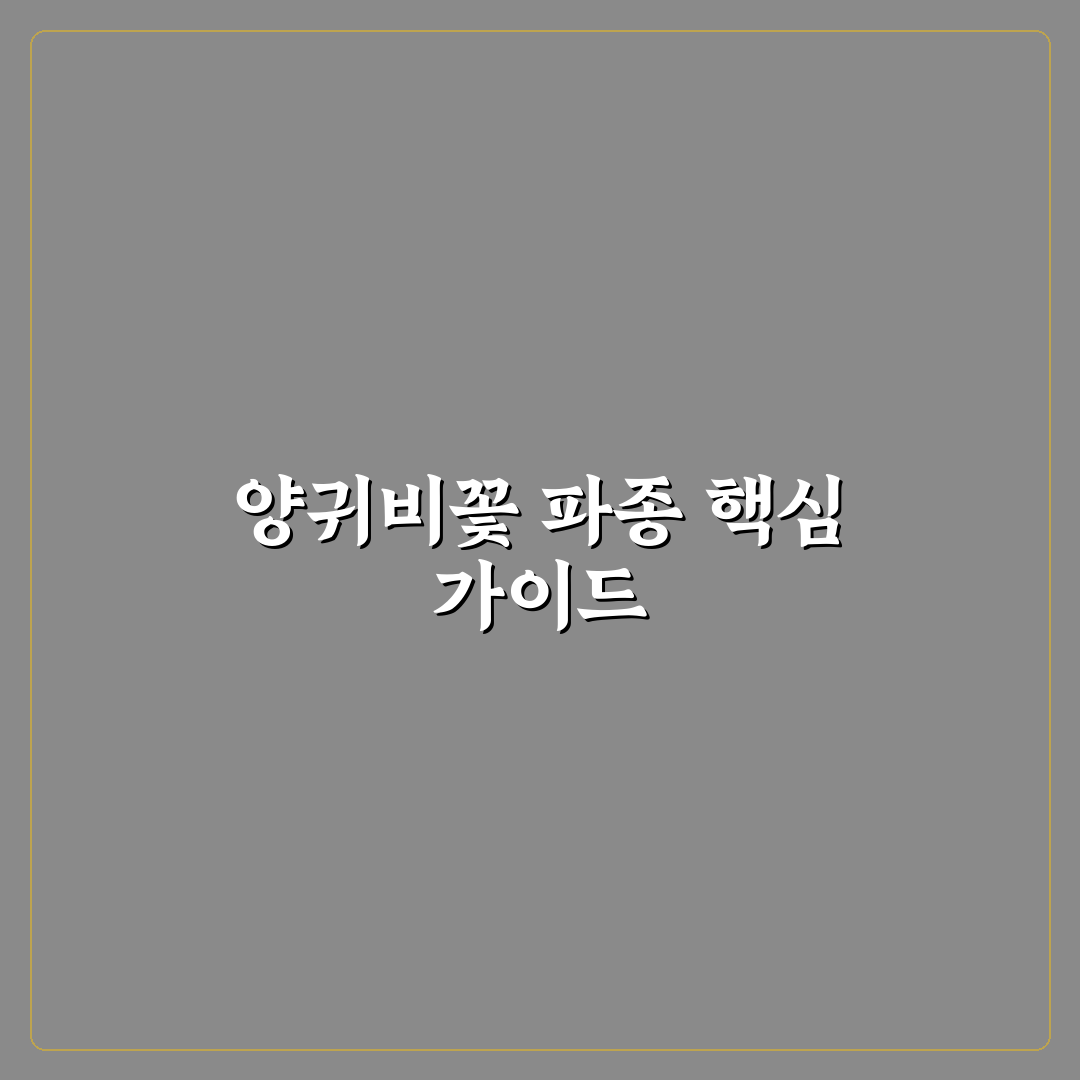 양귀비꽃 파종시기 5가지 기준별 최적 시기 분석