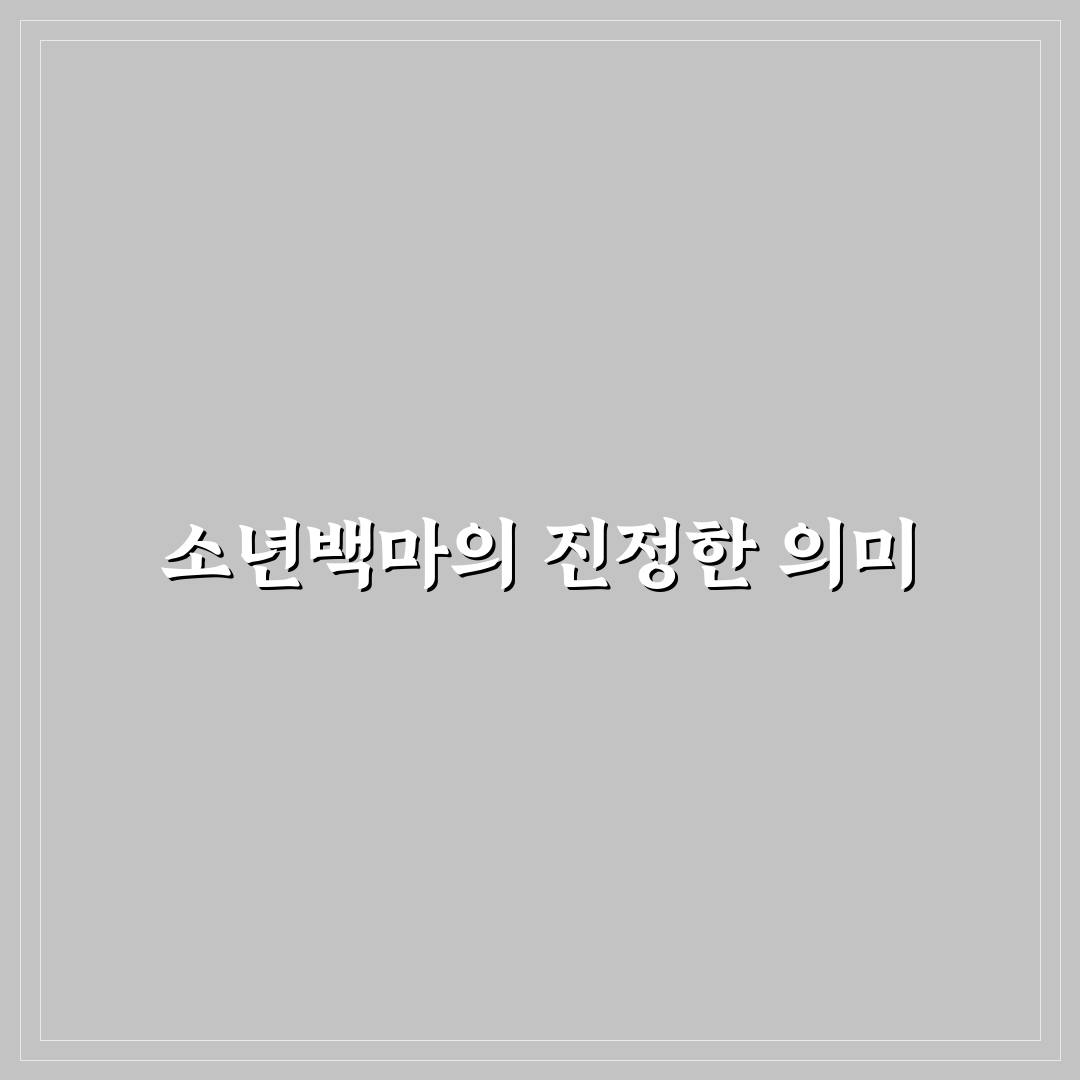 소년백마취춘풍 비교와 분석을 통한 5가지 체크포인트