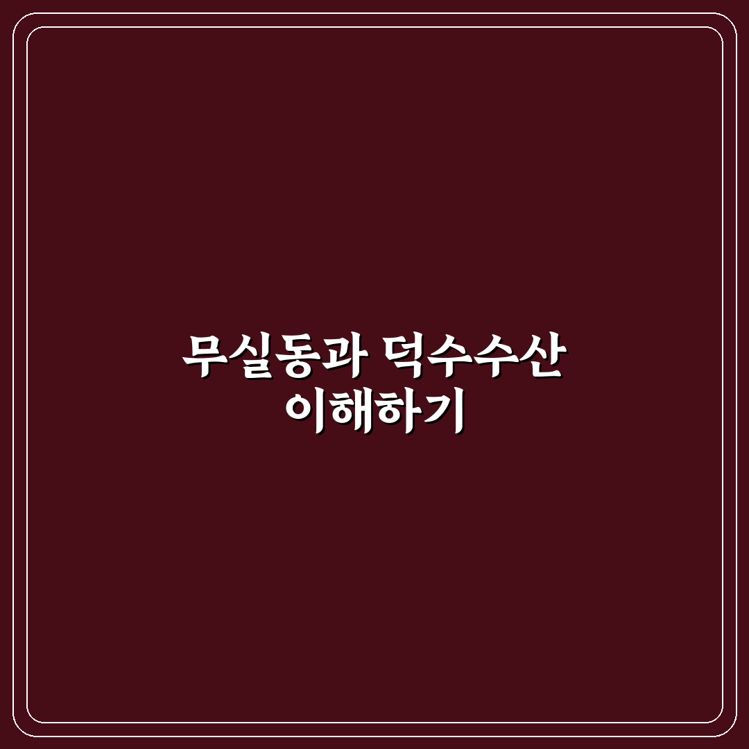 무실동 덕수수산 품질과 가격 비교 분석 가이드