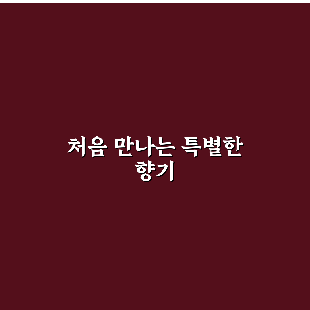 침향 팔찌 사용 후기, 직접 써보니 알게 된 점들