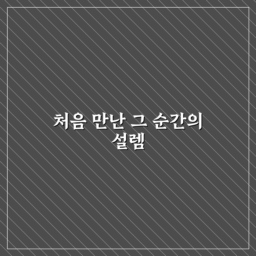 푸에르토리코 보드게임 사용 후기, 직접 해보니 재미는 어땠나