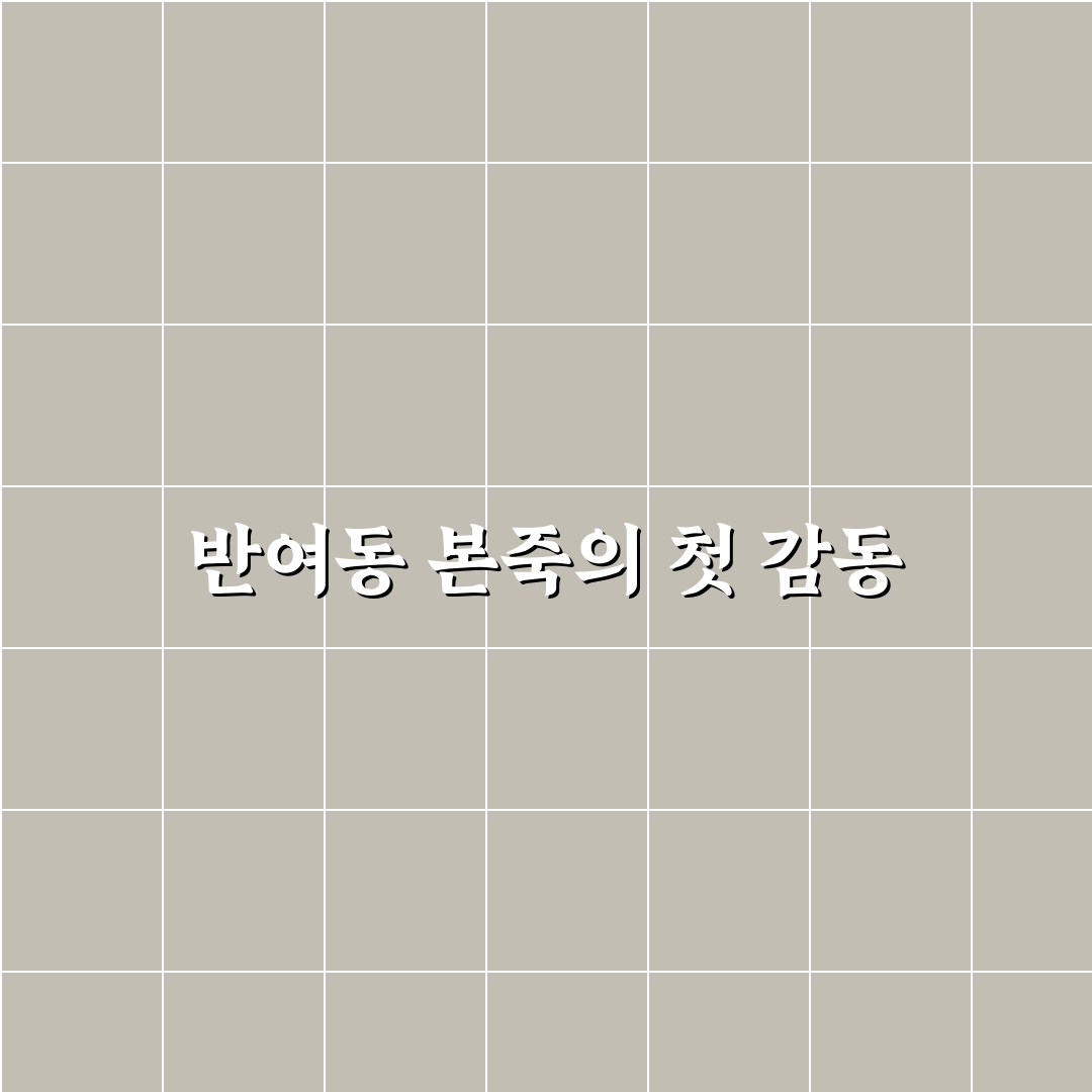 반여동 본죽 방문 후기, 맛과 서비스 솔직하게 써봤어요