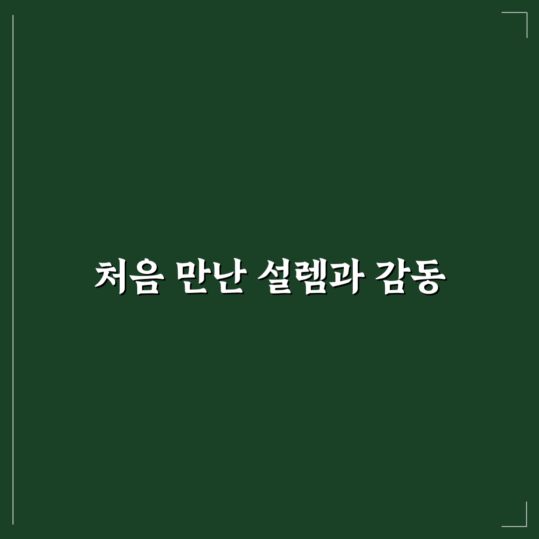 천호역 피부과 방문 후기, 실제 시술 받아보니
