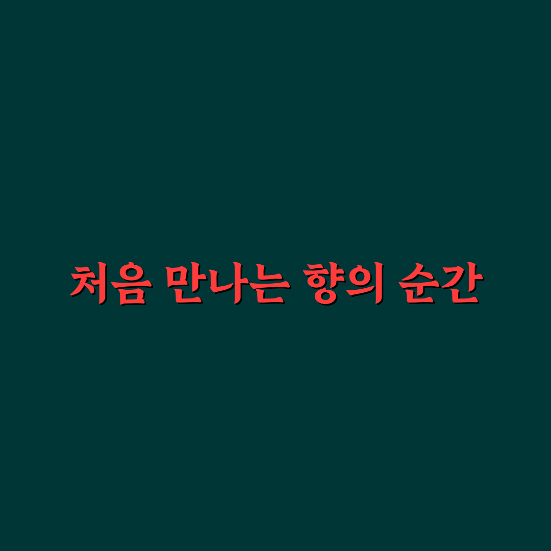 미니송엽국 사용 후기, 직접 써보니 궁금했던 점들
