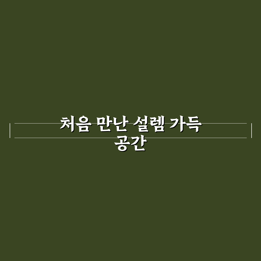 청담동 요닝 방문 후기, 실제 경험담과 솔직한 느낌
