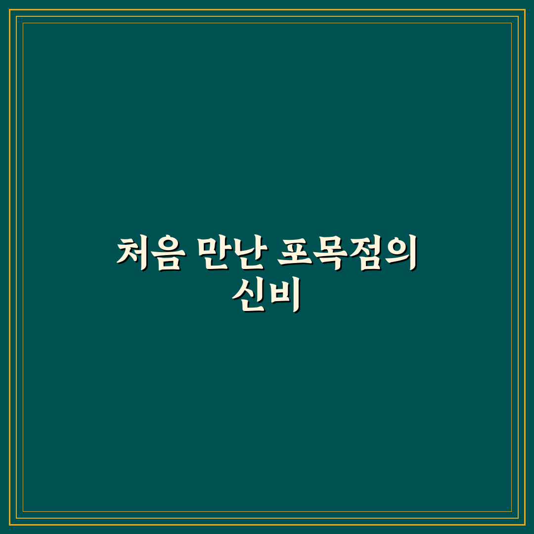 포목점 뜻 직접 알아보니 뜻밖의 역사와 의미